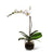 The White Orchid Planter